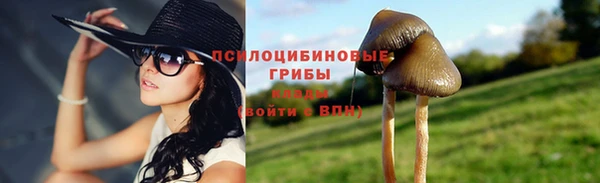 мдпв Зеленокумск