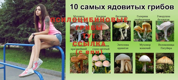 марки nbome Зерноград