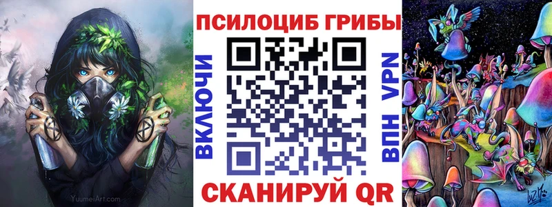 Купить закладки  Полысаево  Псилоцибиновые грибы прущие грибы 